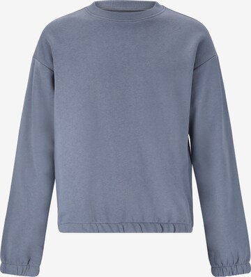 ENDURANCE Sportief sweatshirt in Grijs: voorkant