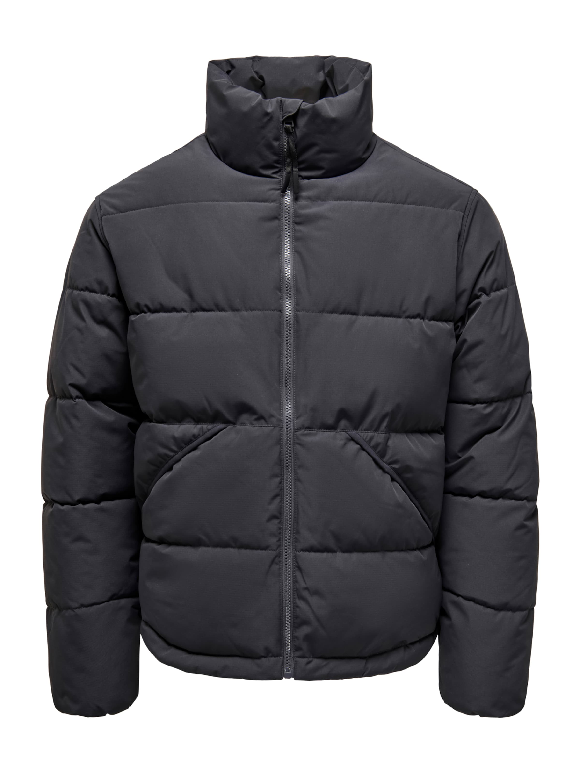 Only & Sons Winter jacket 'ONSPACK' in Grey: front