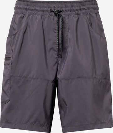 COLUMBIA Outdoor Pants in Grey: front
