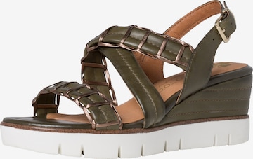 MARCO TOZZI by GUIDO MARIA KRETSCHMER Strap sandal in Green: front