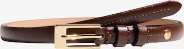 Ceinture Next en marron : devant