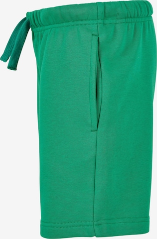 Regular Pantaloni de la Urban Classics pe verde