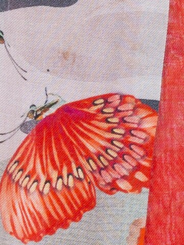 Passigatti Wrap 'Krawattenschal' in Red