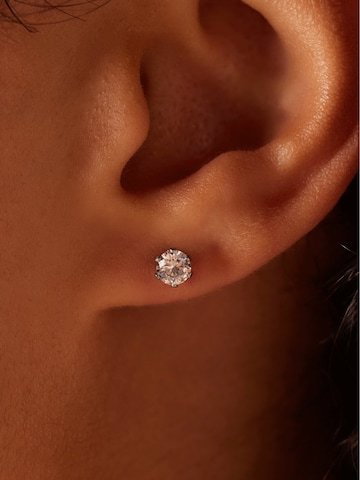 Lucardi Earrings in Silver: front