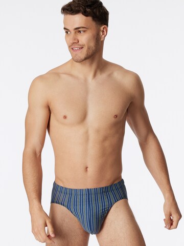 SCHIESSER Panty ' 95/5 Organic ' in Blue