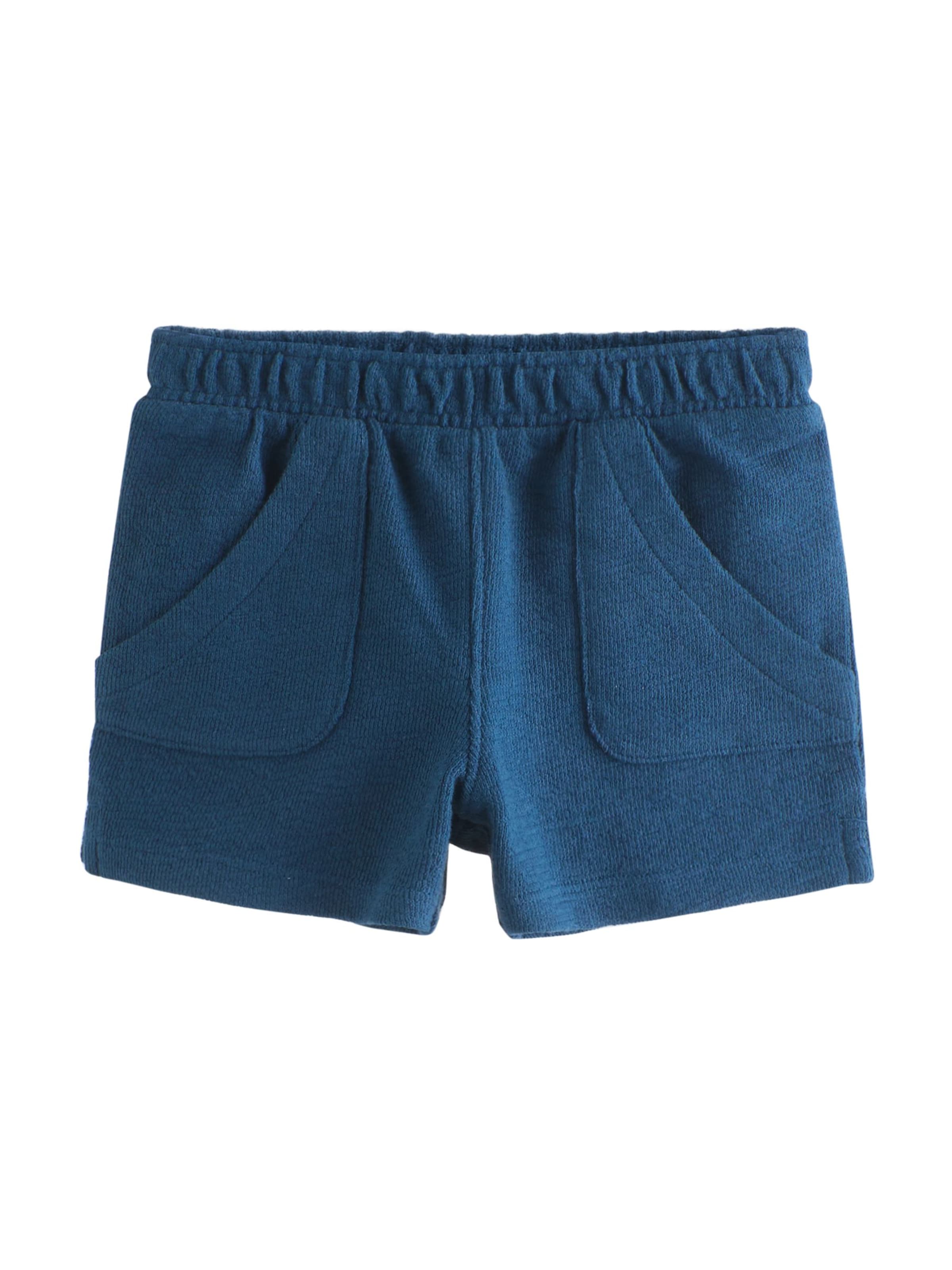 Next Regular Trousers in Blue