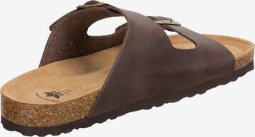 LICO Mules in Brown