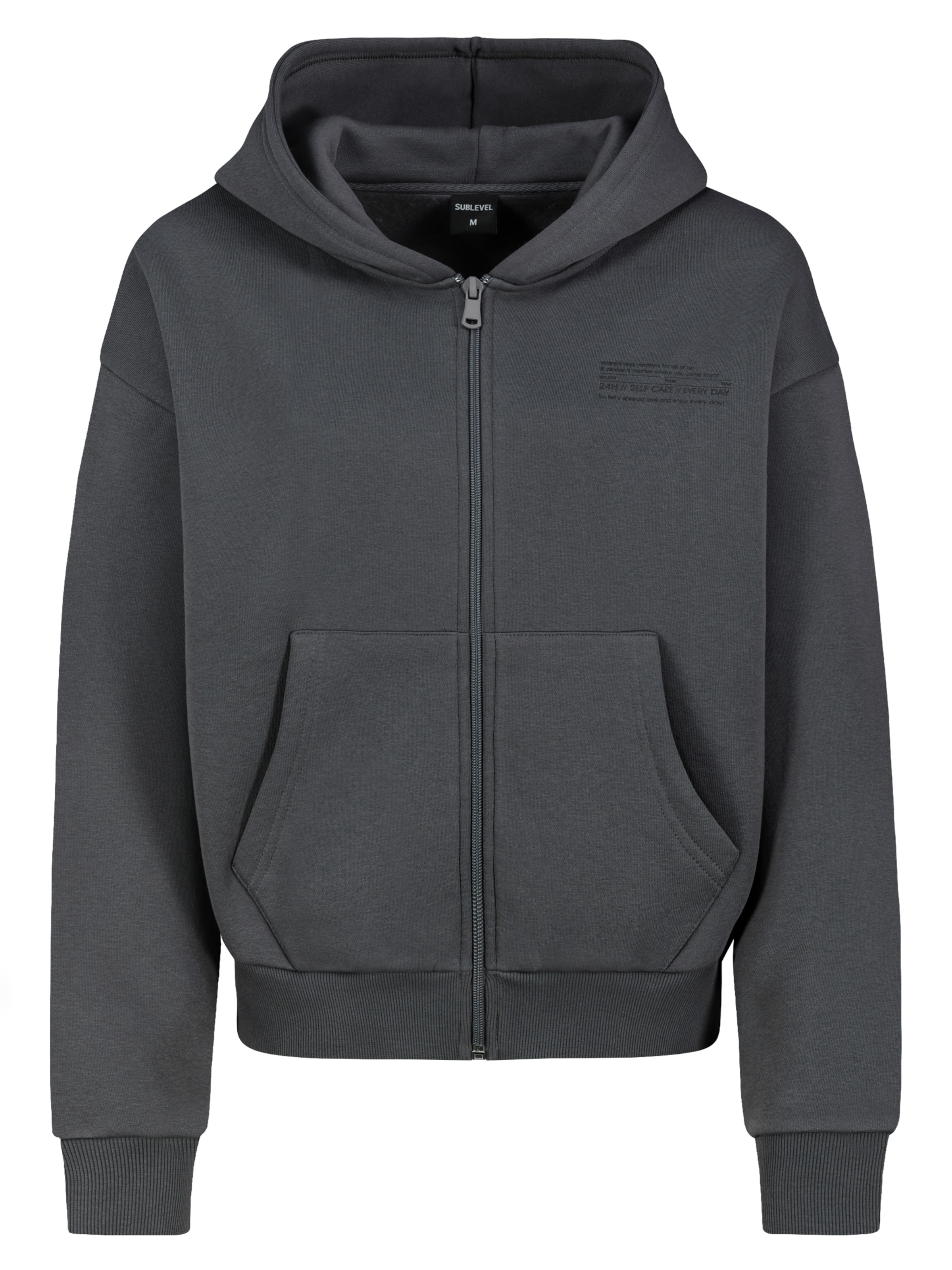 Sublevel Zip-Up Hoodie in Grey: front