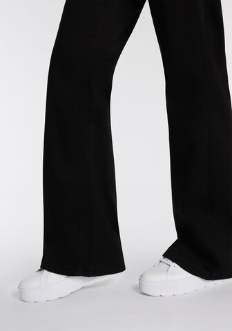 Herrlicher Flared Jeans in Black