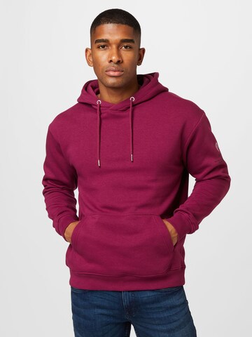 Redefined Rebel Sweatshirt 'Clay' in Purple: front