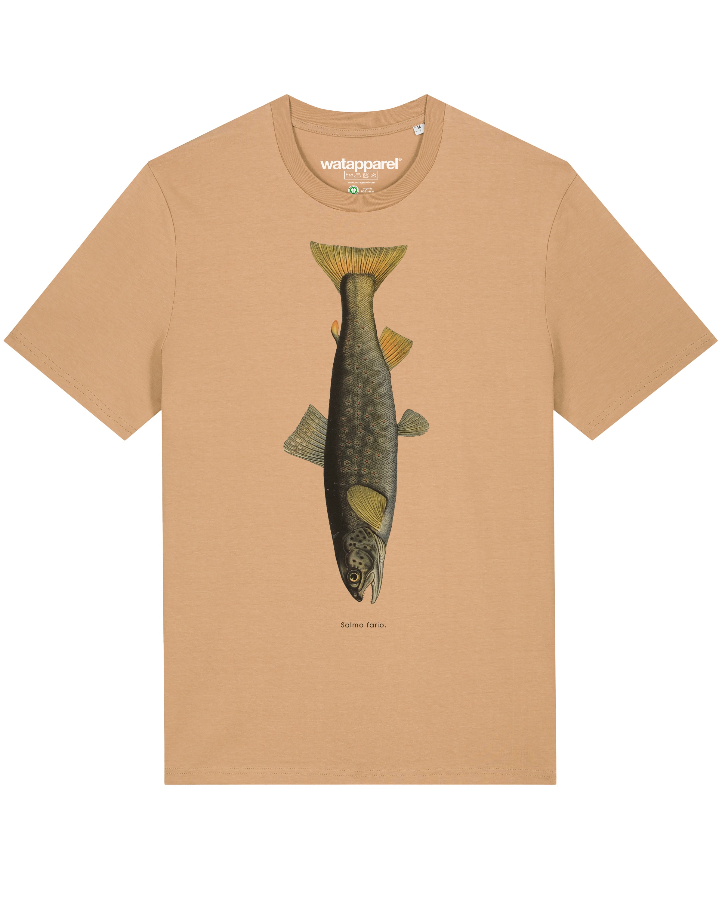 Watapparel Shirt in Beige: voorkant