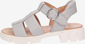 SIOUX Strap Sandals ' Ronila-701 ' in Grey