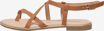 ONLY - Sandalias con hebilla 'ONLMARI-2' en marrón: frente