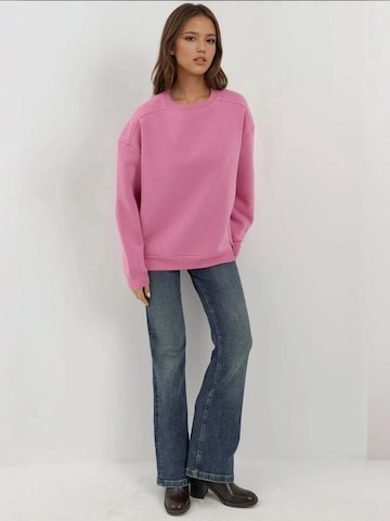 Hiccup Sweatshirt in Pink