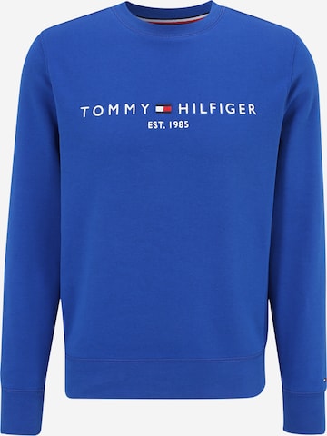 mėlyna TOMMY HILFIGER Megztinis be užsegimo: priekis