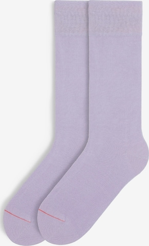 Von Jungfeld Socks 'SIGNATURE' in Purple: front