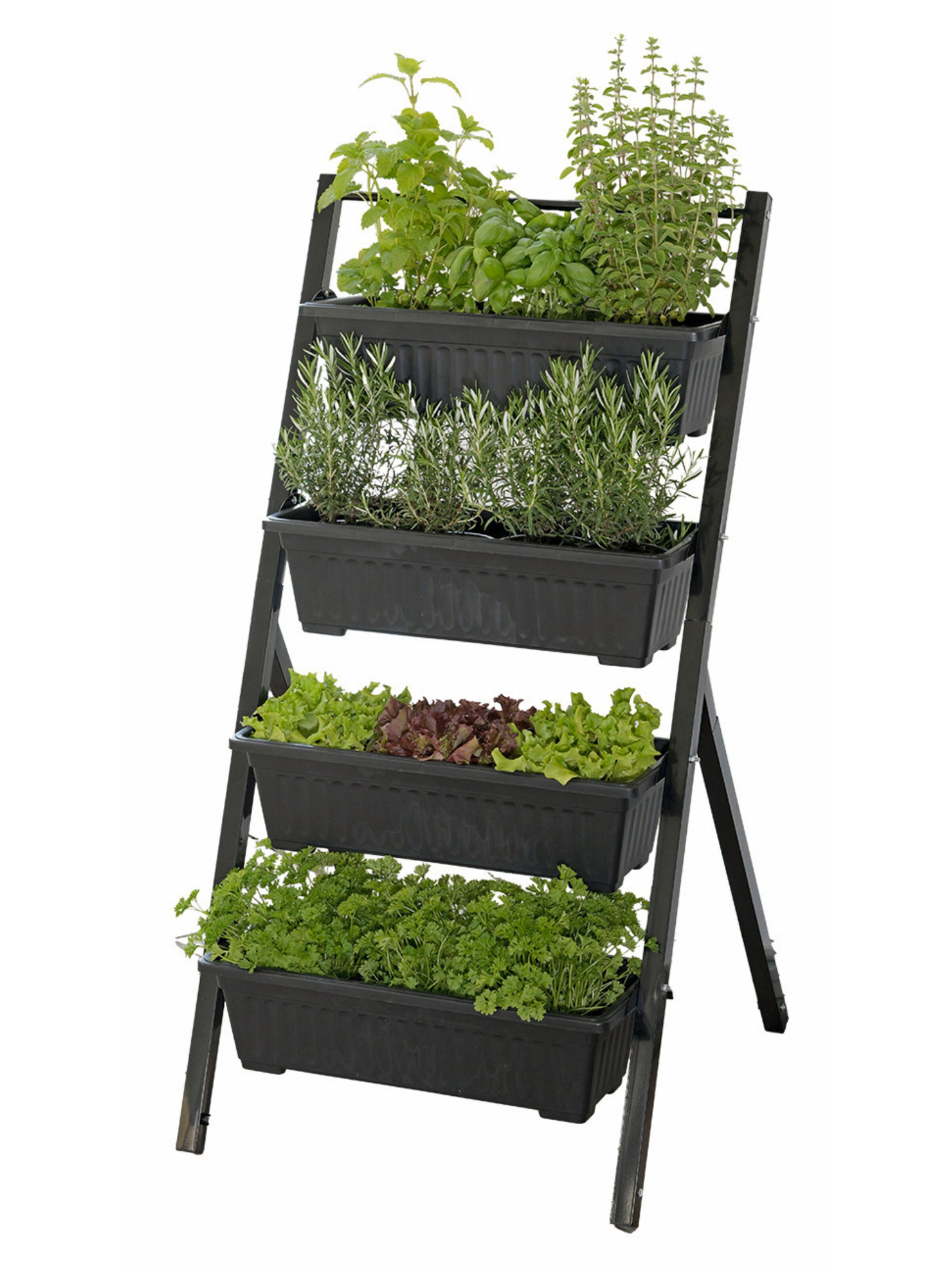 Wenko Flower Pot 'None' in Black