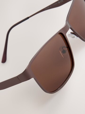 Next Sunglasses in Bronze