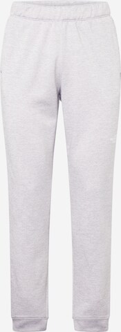 Regular Pantalon outdoor 'REAXION' THE NORTH FACE en gris : devant