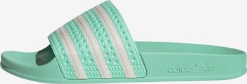 zaļš ADIDAS ORIGINALS Ādas čības 'Adilette': no priekšpuses