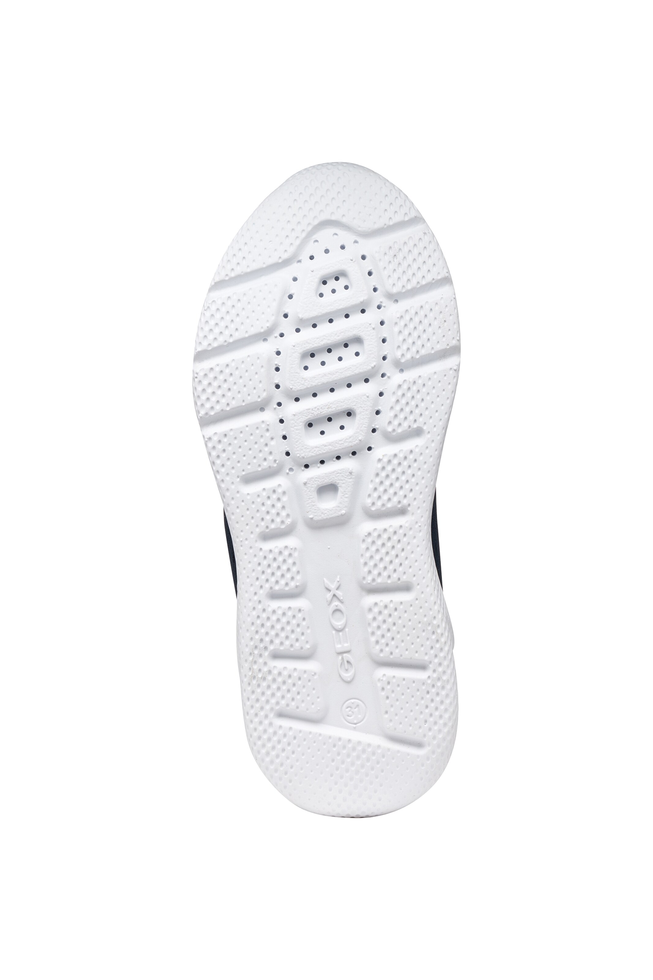 GEOX Sneakers in Blue