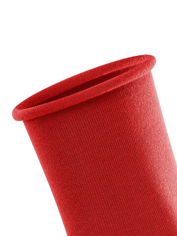 FALKE Socks 'Active Breeze' in Red