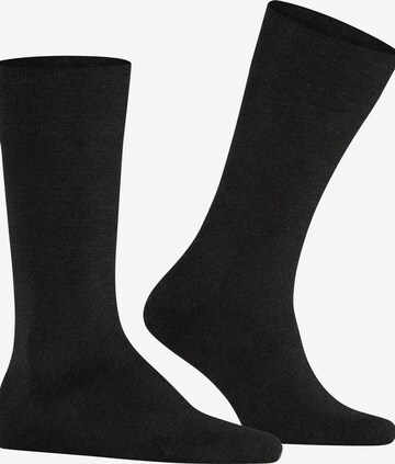 FALKE Socks 'Cool 24/7' in Grey: front