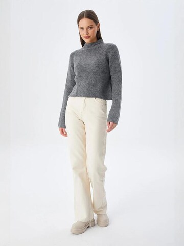 MixRay Pullover in Grau