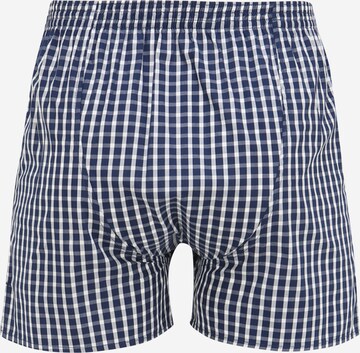 D.E.A.L International Boxer shorts in Blue