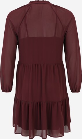 Robe-chemise 'Jovana' Guido Maria Kretschmer Curvy en rouge : derrière