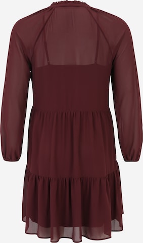 Guido Maria Kretschmer Curvy Shirt Dress 'Jovana' in Red: back