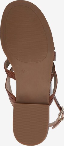 CAPRICE Sandalen met riem in Bruin