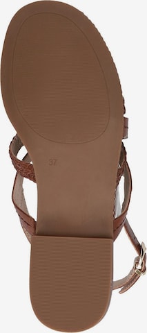 CAPRICE Strap Sandals in Brown