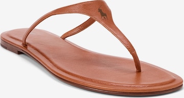 Polo Ralph Lauren Varvastossut 'PLY' värissä ruskea: etupuoli