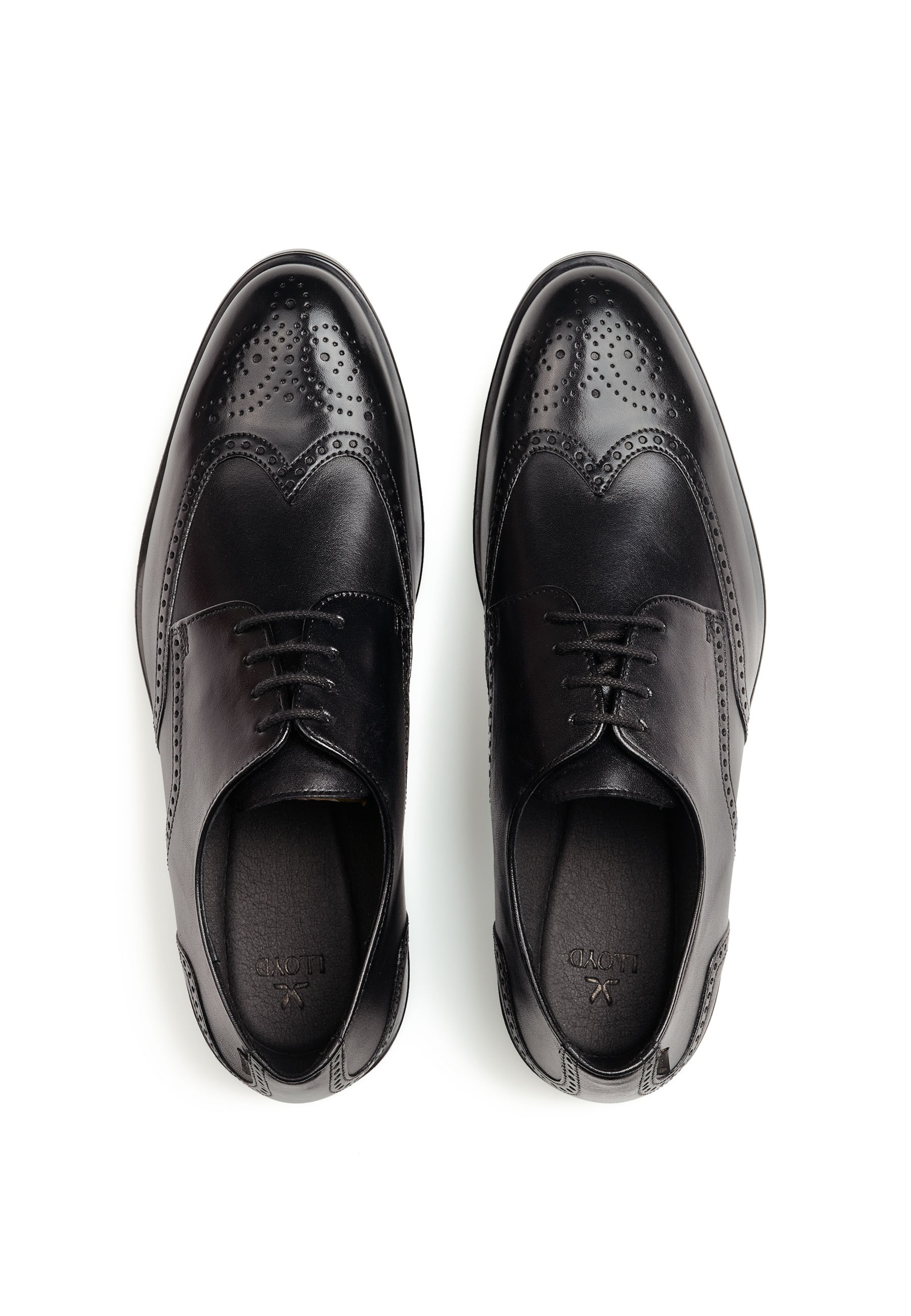 LLOYD Veterschoen in Zwart