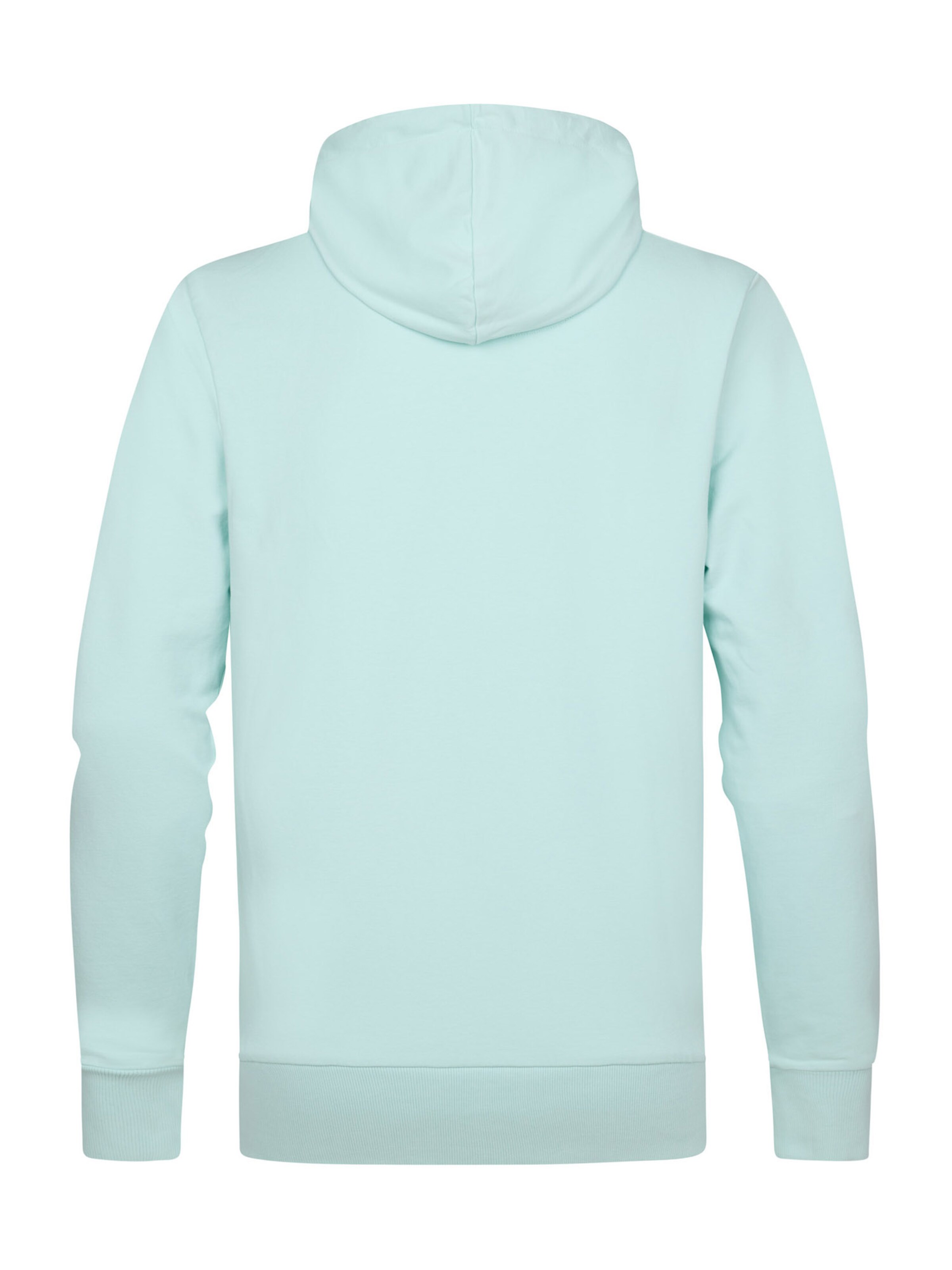 Petrol Industries Sweatshirt in Grün