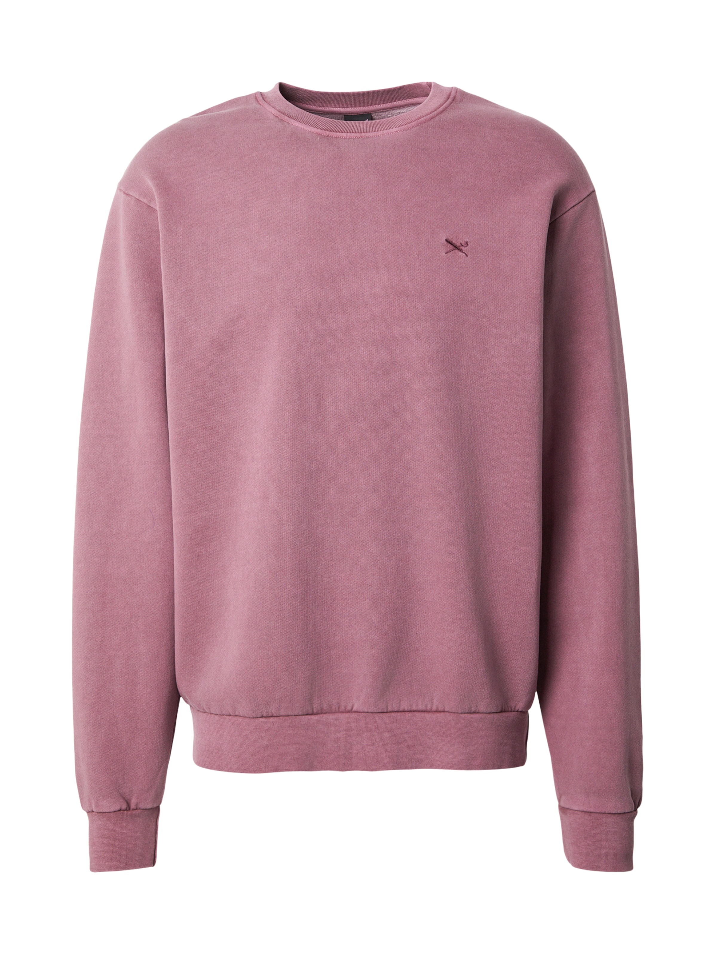 Iriedaily Sweatshirt in Purple: front