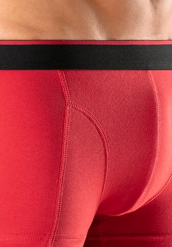 Authentic Le Jogger Boxershorts in Blau