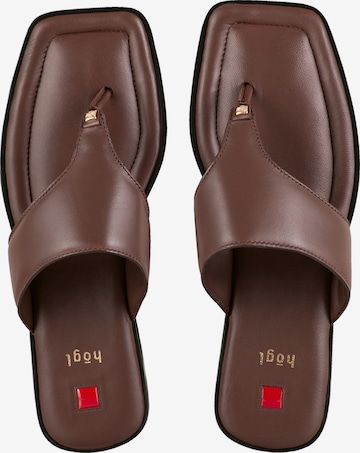 Högl T-Bar Sandals 'Naomi' in Brown