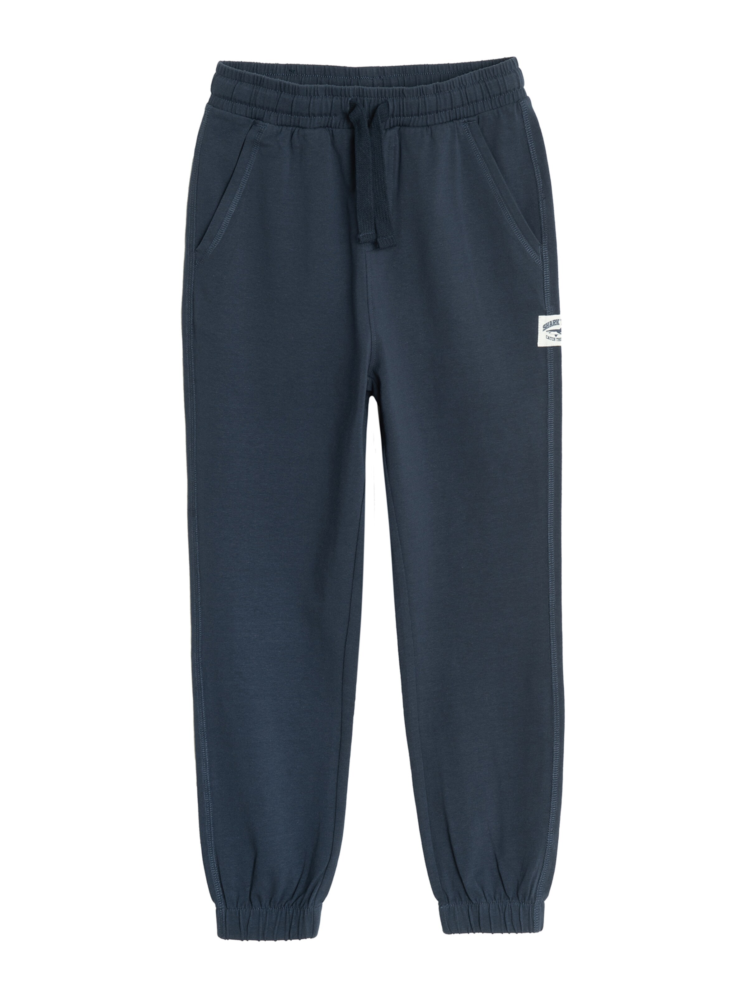 Cool Club Tapered Pants in Blue: front