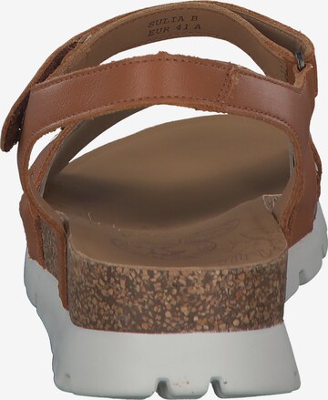 PANAMA JACK Sandals 'Sulia' in Brown