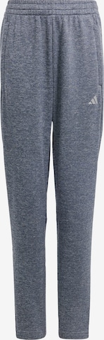 ADIDAS SPORTSWEAR Workout Pants in Grey: front