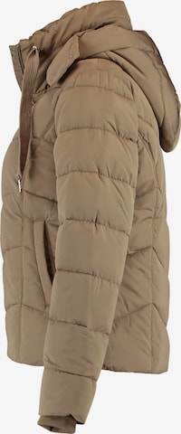 ZABAIONE Winter Jacket 'Mara' in Brown