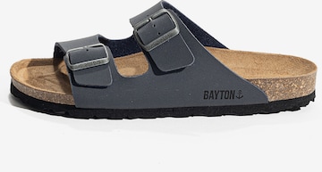 Bayton Mules 'Baltic' in Grey: front