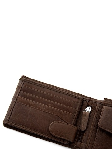 Lucleon Wallet 'California' in Brown