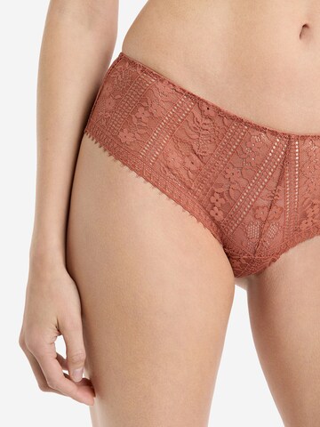 ETAM Boyshorts 'Aura' in Brown