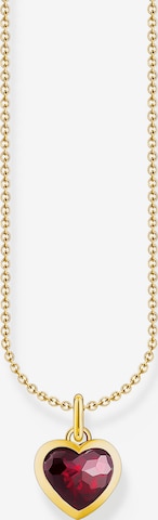 Thomas Sabo Necklace in Gold: front