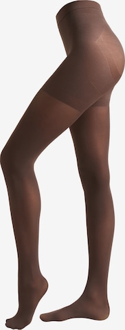 CALZEDONIA Tights in Brown: front