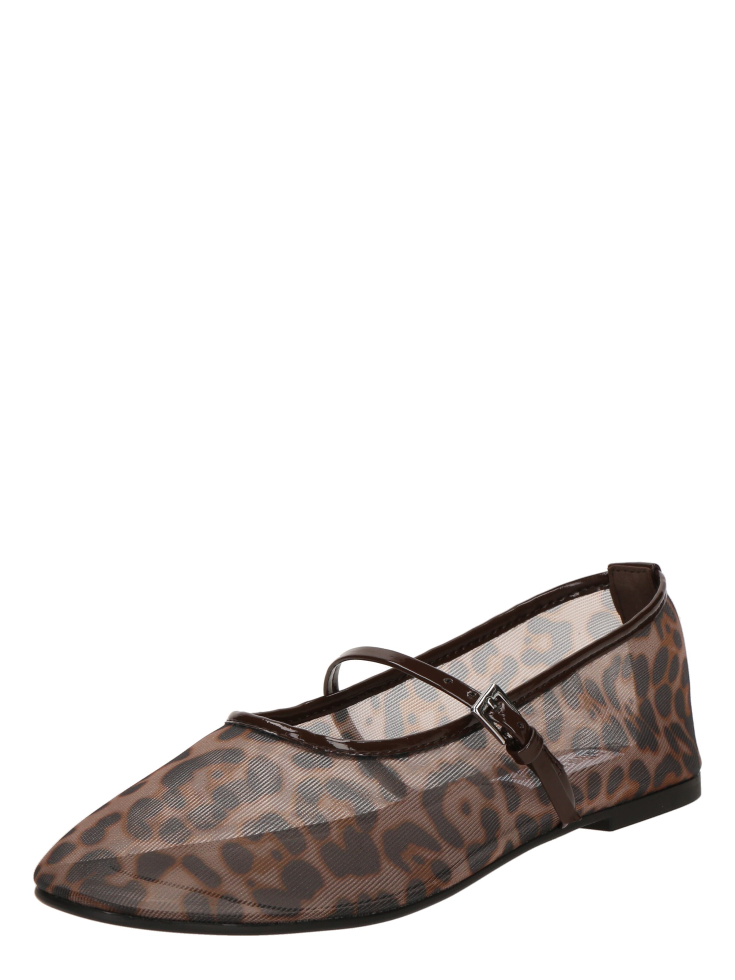 Ballerines à lanières 'Mash' STEVE MADDEN en marron : devant