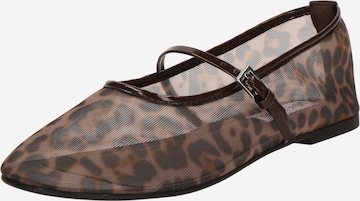 Ballerina con cinturino 'Mash' di STEVE MADDEN in marrone: frontale